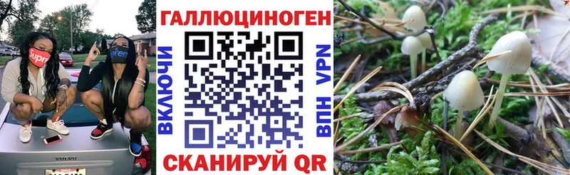 Псилоцибиновые грибы Psilocybine cubensis  это состав  Ярославль  omg рабочий сайт 